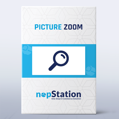 Picture of Picture Zoom Plugin